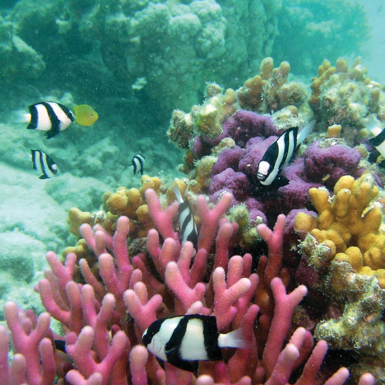 Reef Suite Agnes Water Luaran gambar